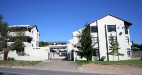 22 Laridae with sea view
